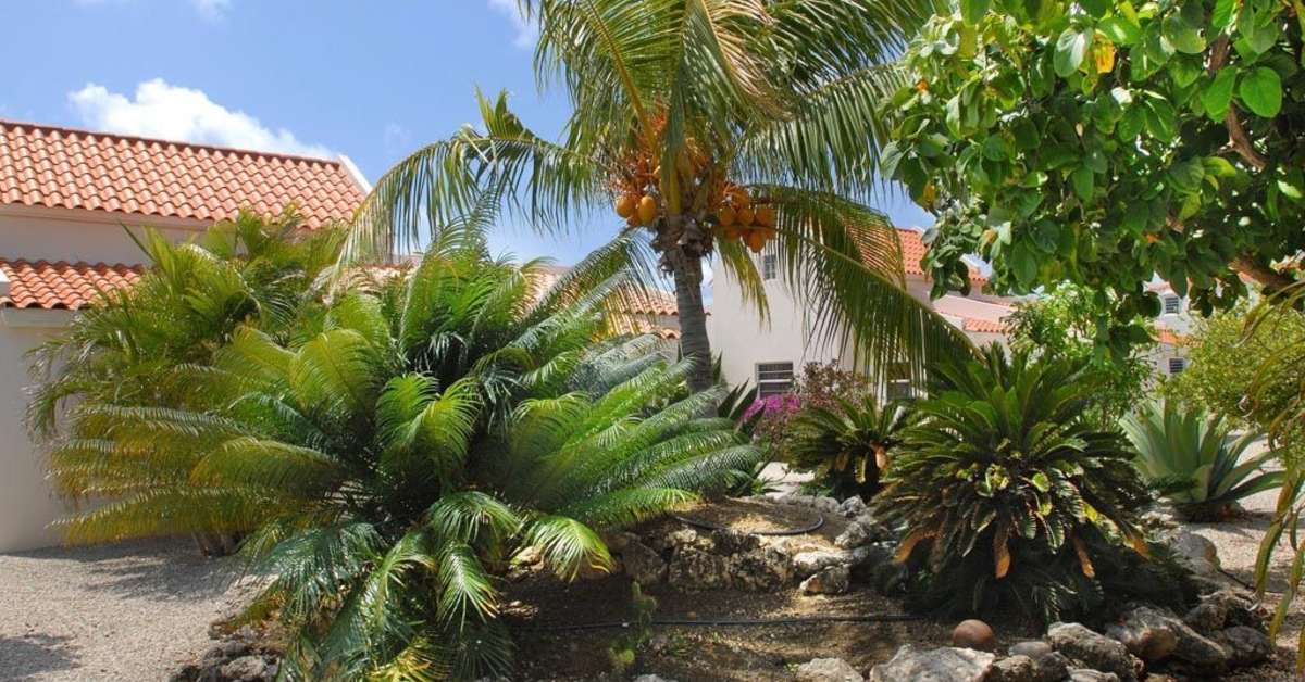 Een foto van Hamlet Oasis Resort Bonaire