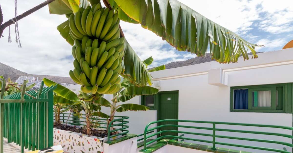 Ein Foto von der Außenansicht des Apartments Porlamar