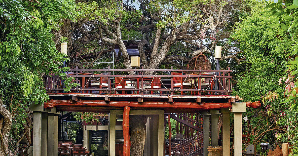 Een foto van Jungle Beach Resort