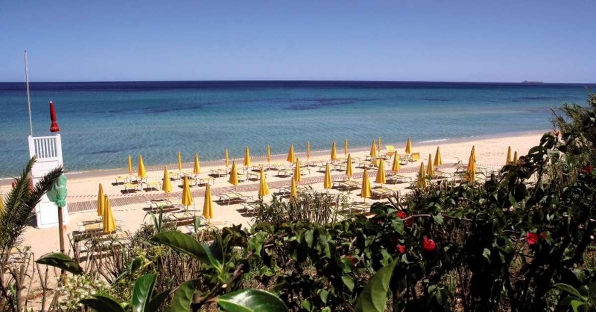 Een foto van Free Beach Club