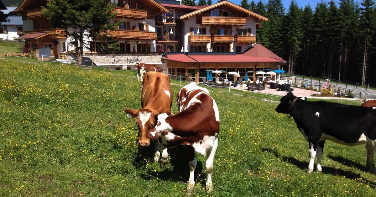 Een foto van Der Konigsleitner Hotel & Chalets