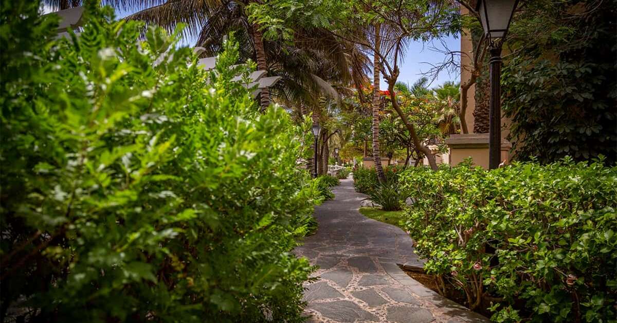 Een foto van het terras bij Palm Oasis Maspalomas