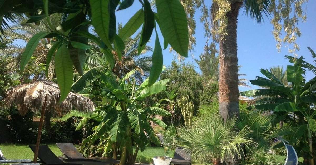 Een foto van Kalithea Hotel