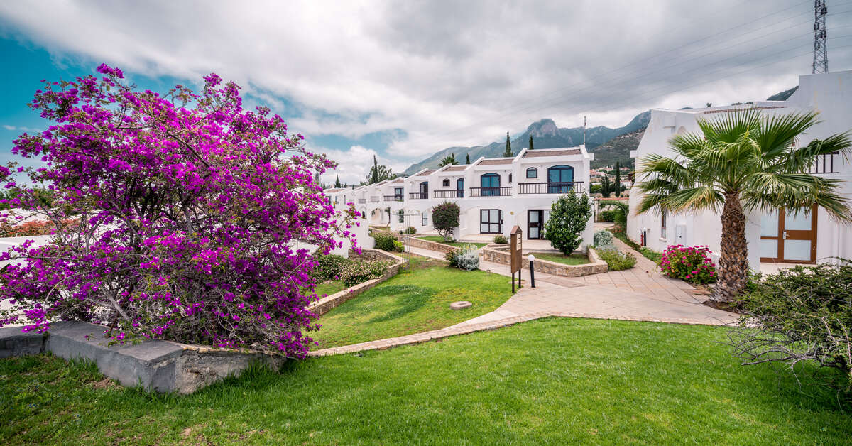 Een foto van de buitenkant van The Olive Tree Hotel