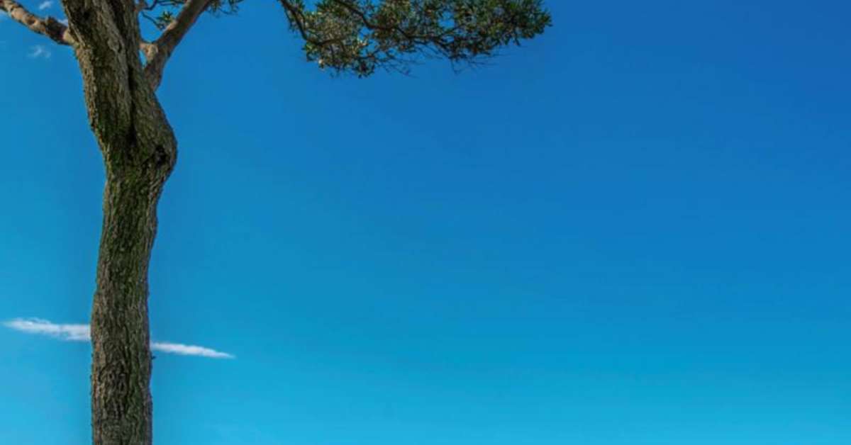 Een foto van Avaton Luxury Villas Resort