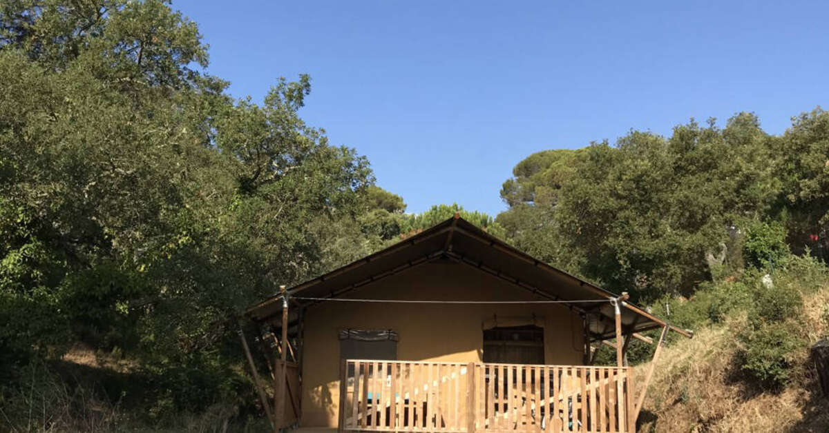 Een foto van Les Lauriers Roses Frejus