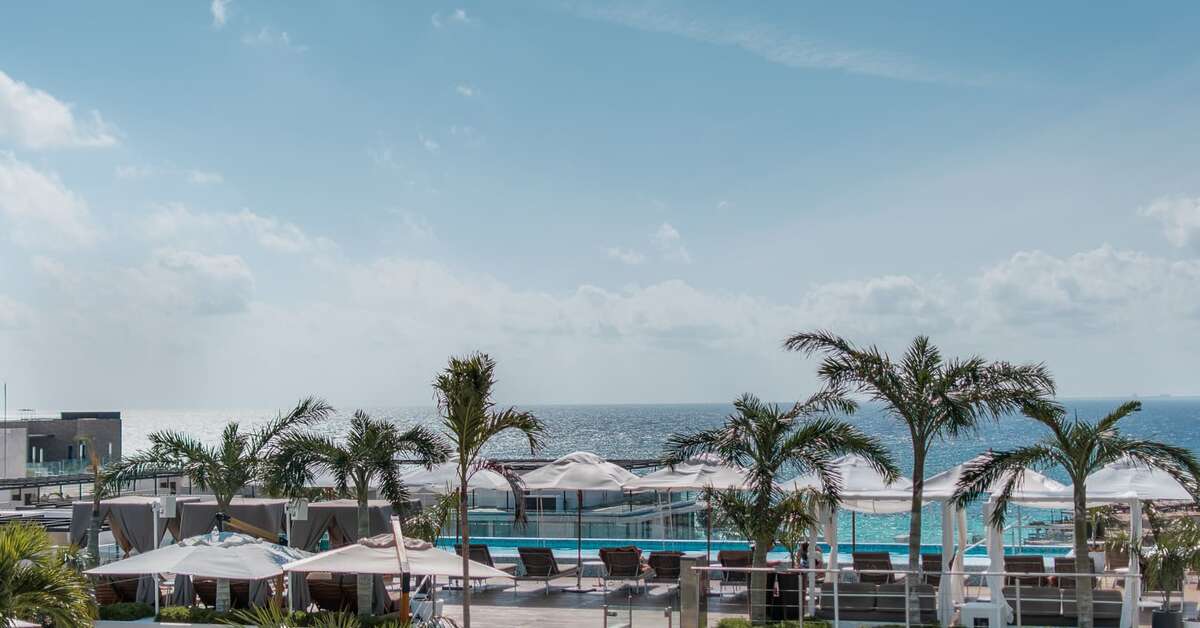 Een foto van The Reef 28