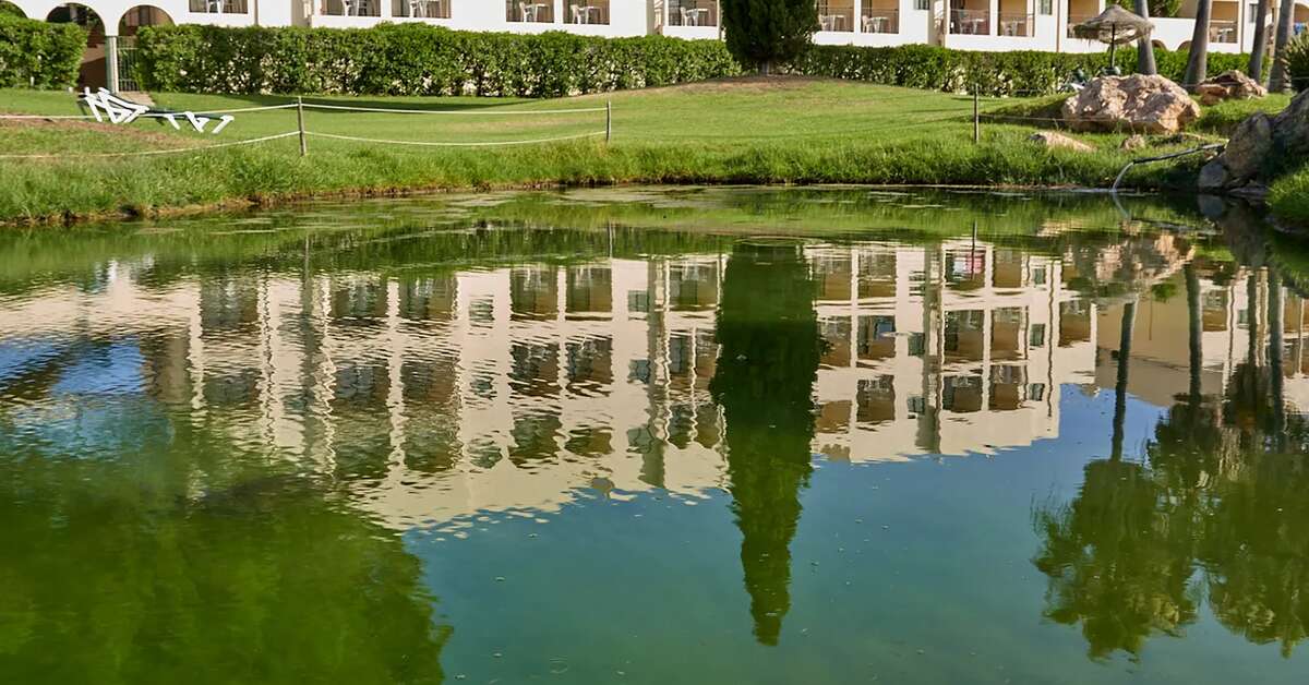 Een foto van The Navigator Palm Oasis Alvor