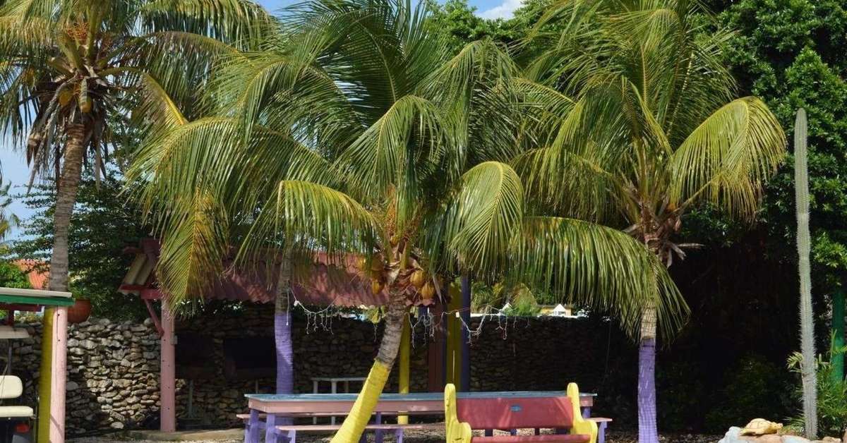 Ein Foto Rancho el Sobrino & Blue View Apartments