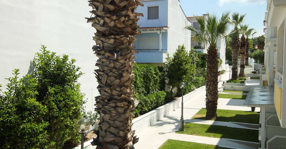 Een foto van de buitenkant van Naias Beach Hotel