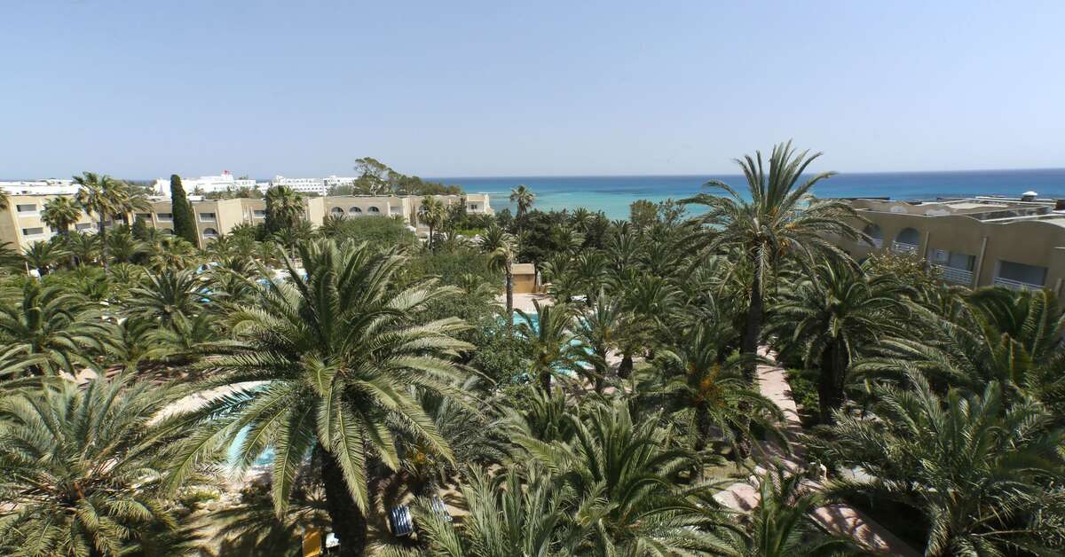 Een foto van Hotel Mediterranee
