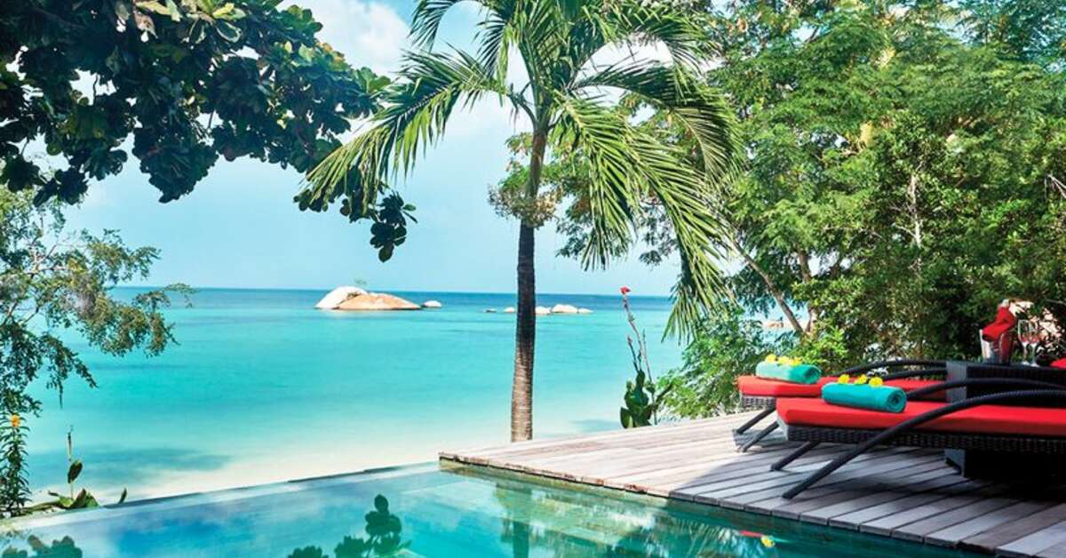 Ein Foto Kupu Kupu Phangan