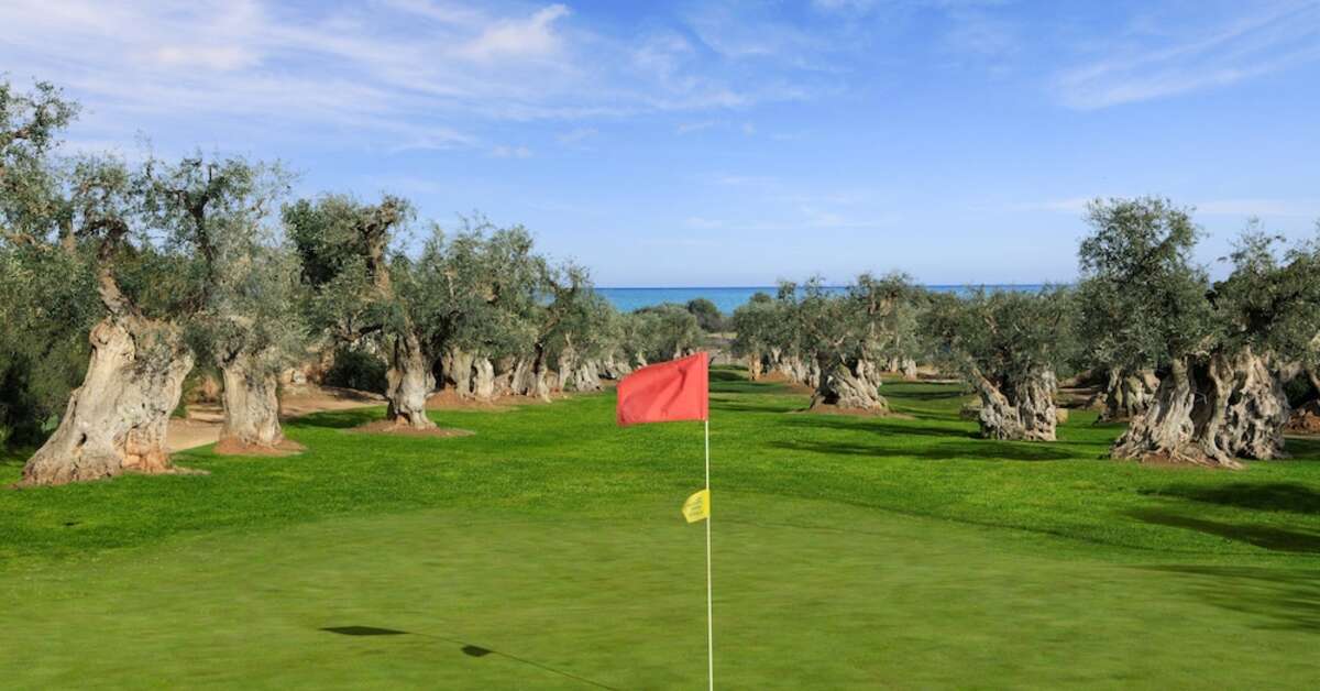 Een foto van Masseria Torre Maizza