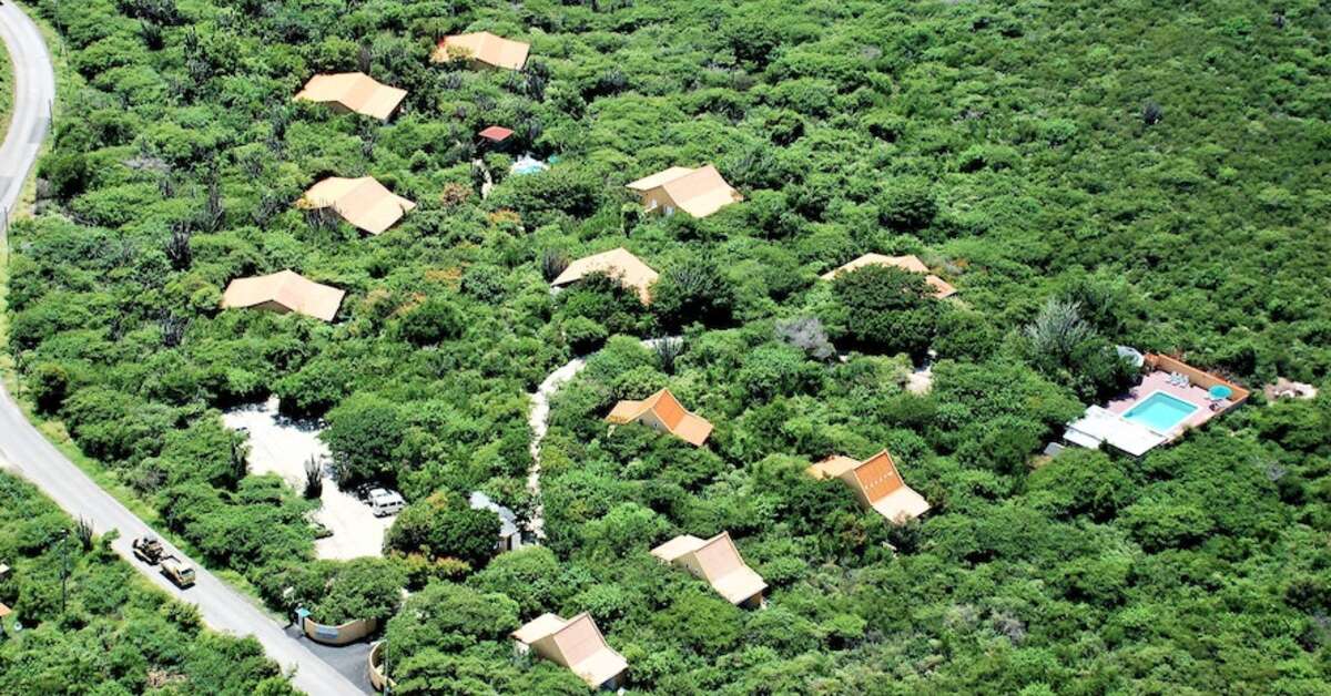 Een foto van de buitenkant van Flamingo Park