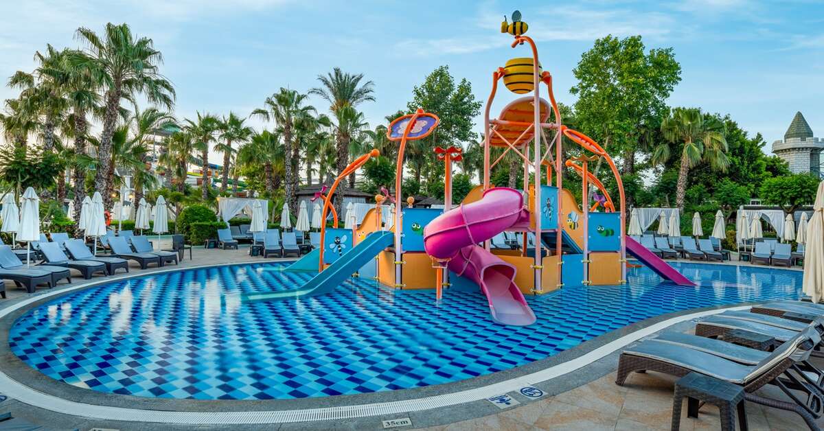 Ein Foto Delphin Imperial
