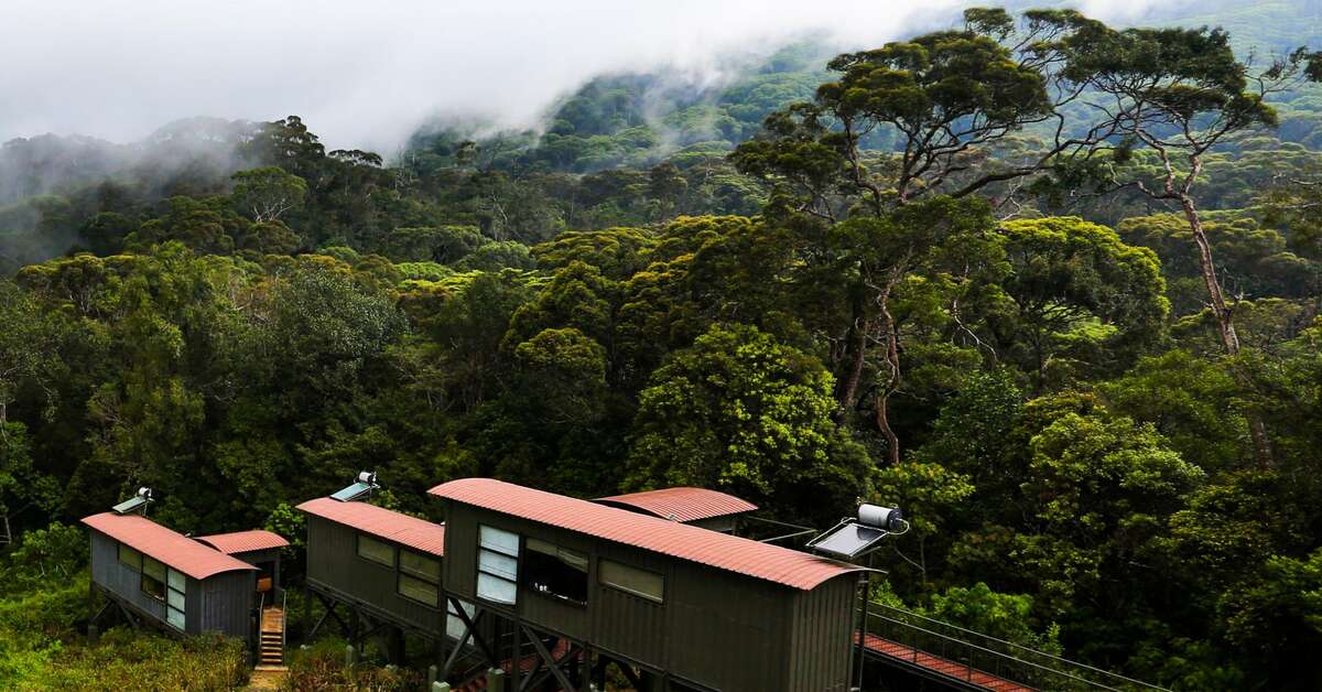 Een foto van Rainforest Eco Lodge