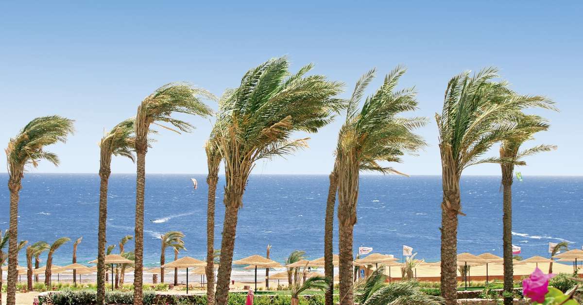 Een foto van Ecotel Dahab Resort
