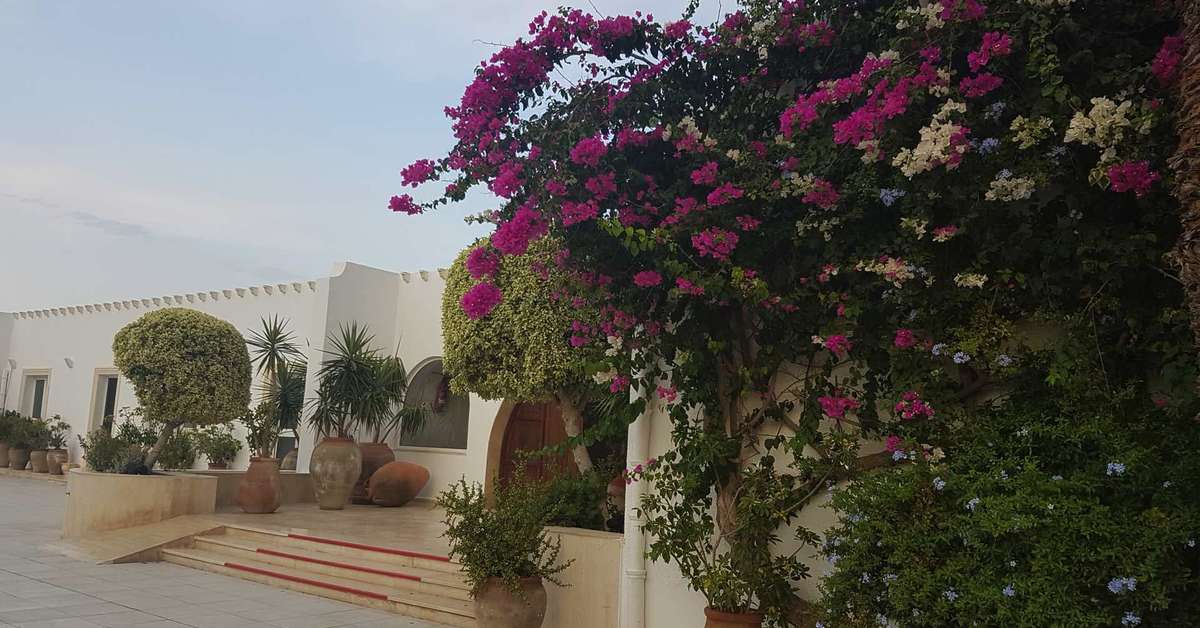 Een foto van Club Salammbo Hammamet