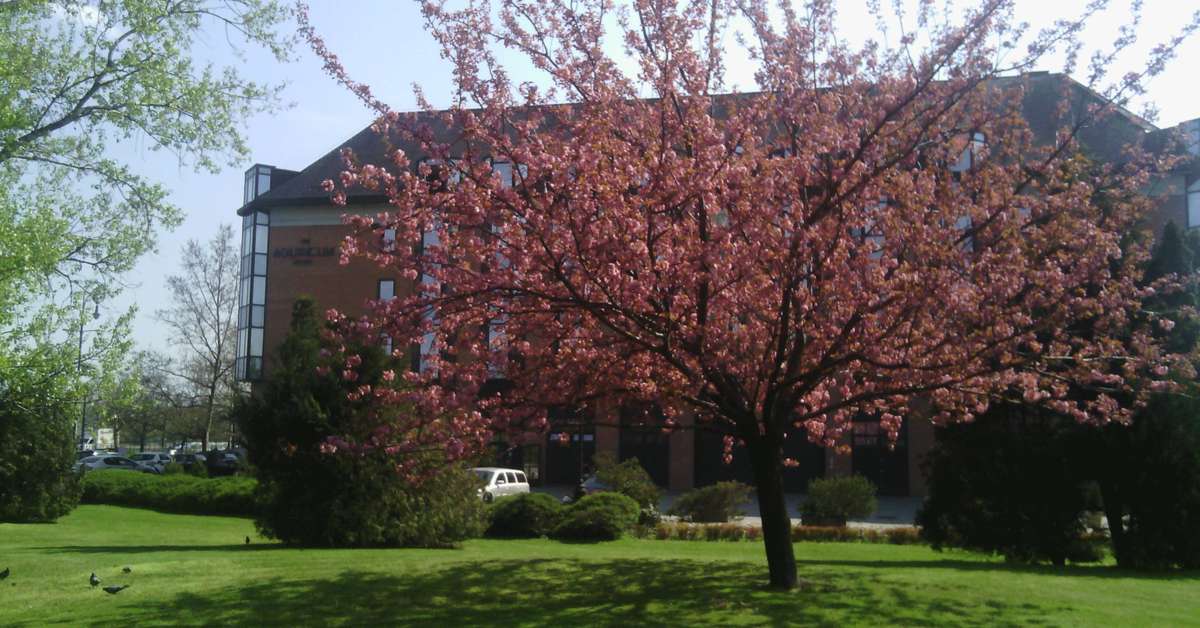 Een foto van The Aquincum Hotel