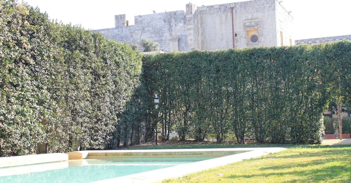 Een foto van Chiostro dei Domenicani