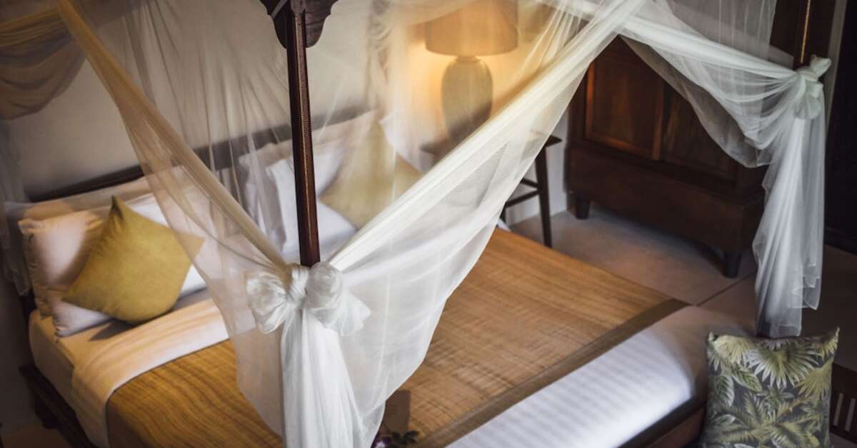 Een foto van Saree Samui