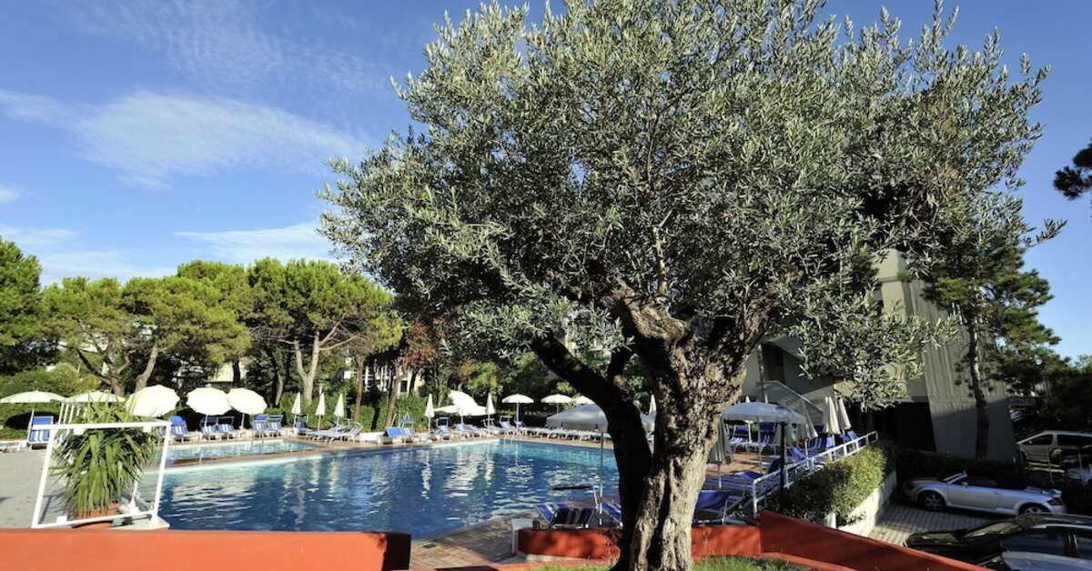 Ein Foto Hotel Bembo