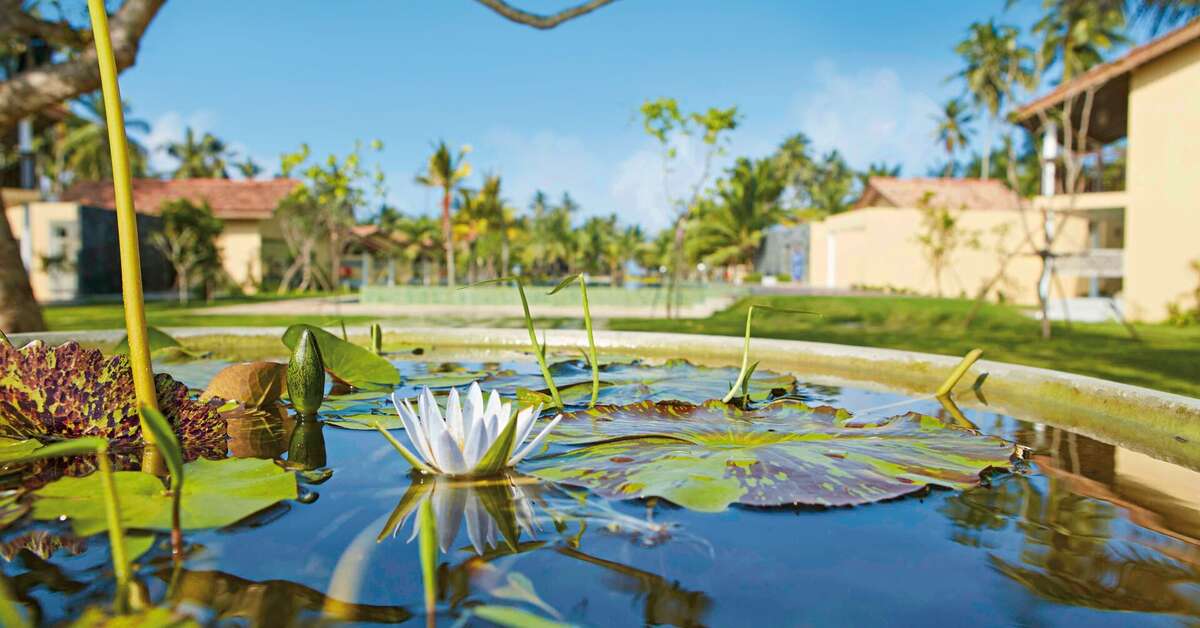 Een foto van The Villas Wadduwa