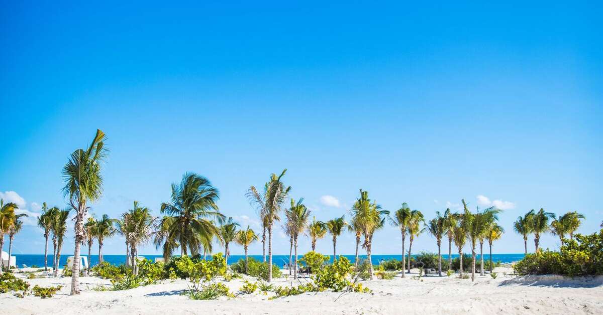 Een foto van Majestic Elegance Playa Mujeres