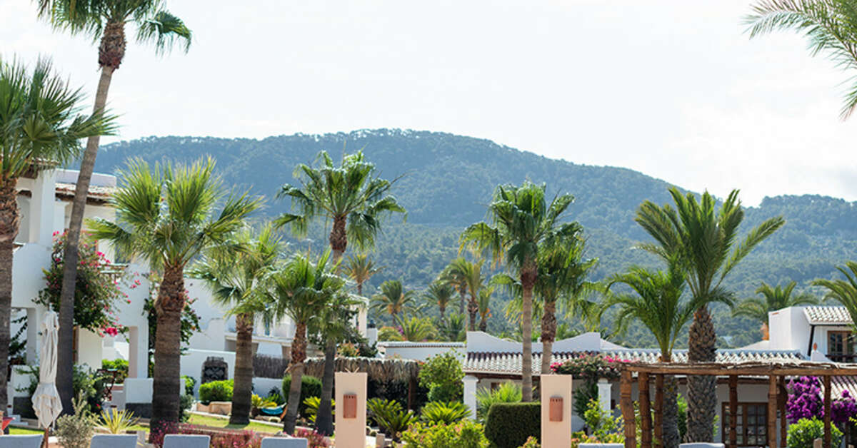 Een foto van Petunia Ibiza