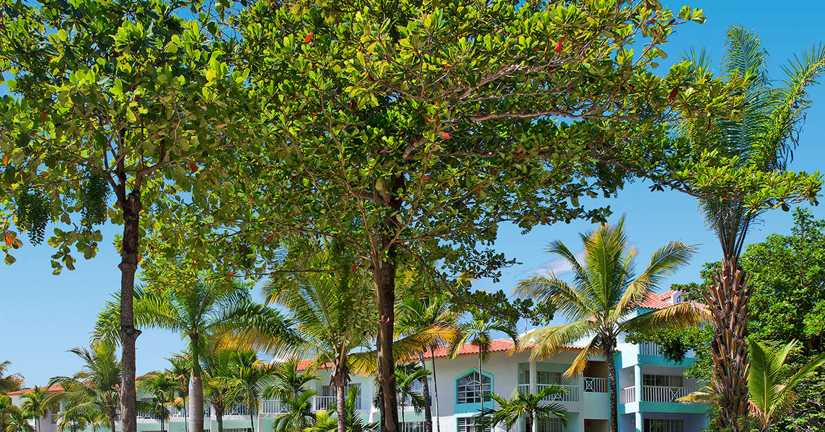 Een foto van Gran Ventana Beach Resort
