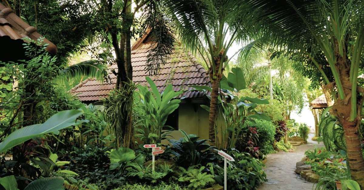 Een foto van Samui Natien Resort