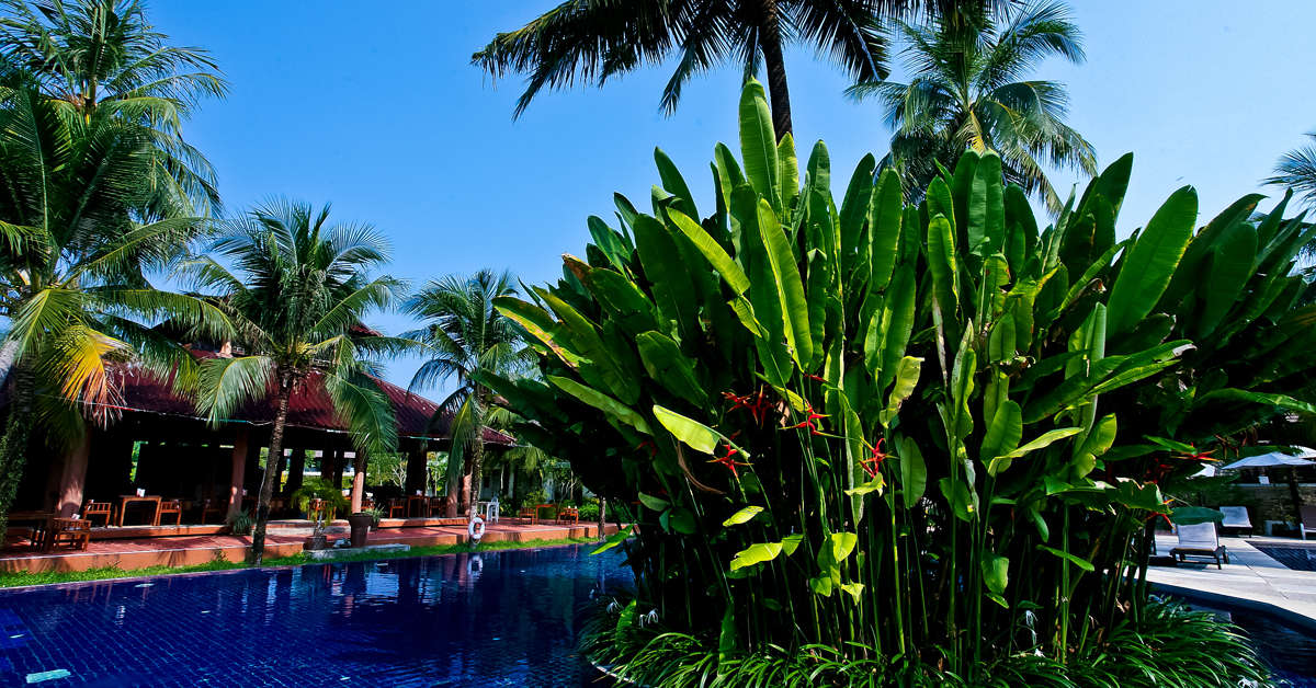 Een foto van Palm Galleria Resort