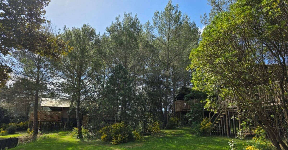 Een foto van Camping la Sauzette