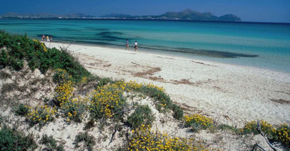 Een foto van Las Gaviotas Suites Hotel