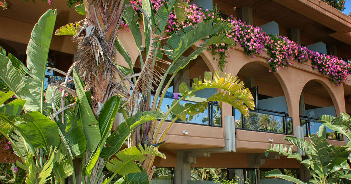 Een foto van Acacia Resort