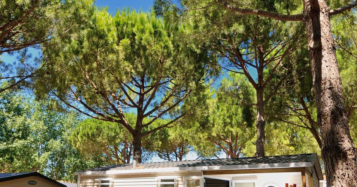 Een foto van Camping Le Domaine De La Yole