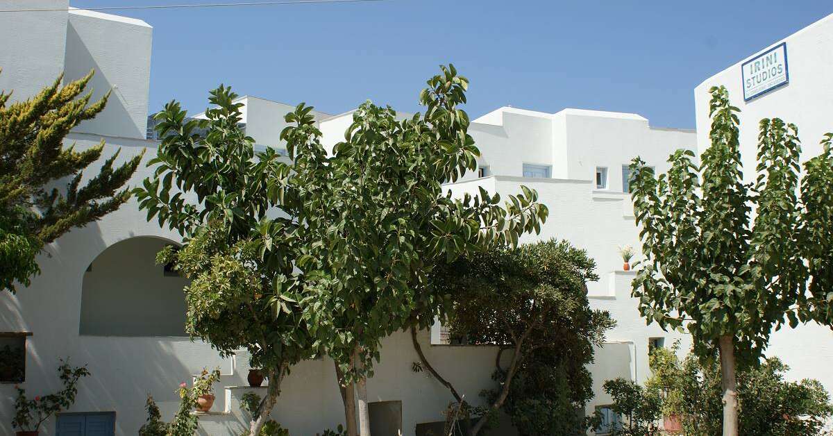 Een foto van Irini Studios