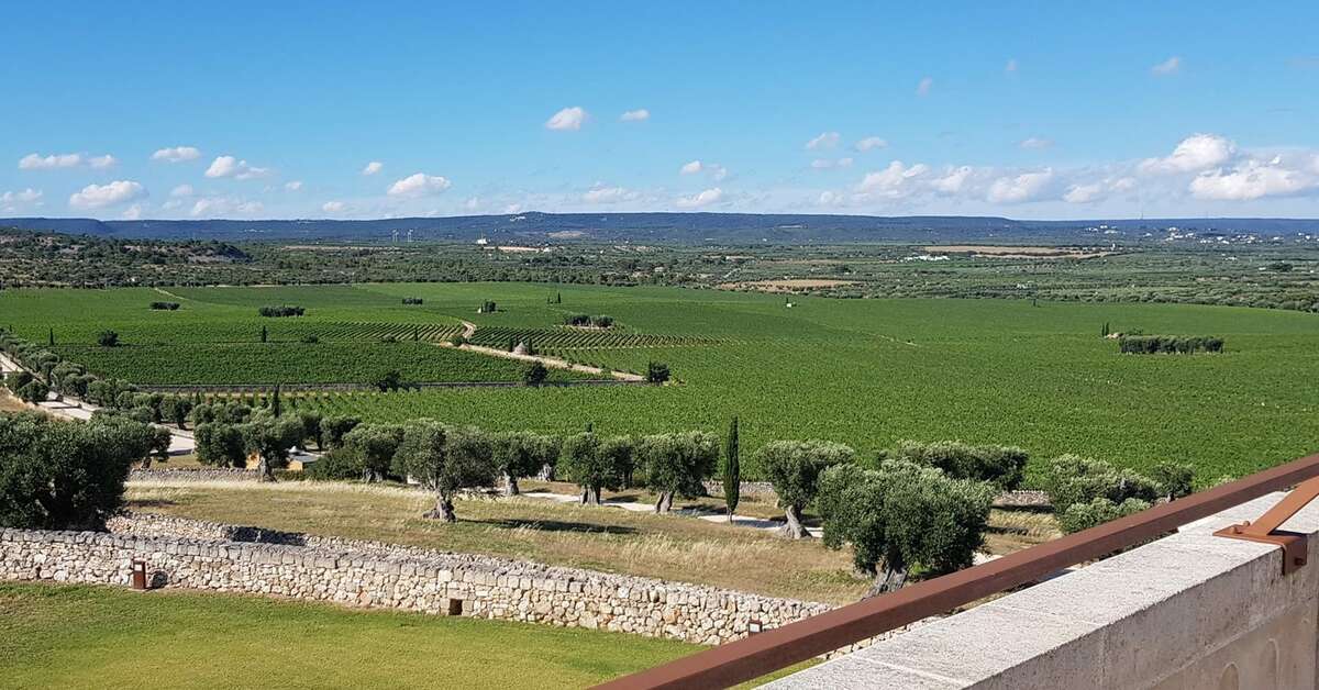 Een foto van Masseria Amastuola Wine Resort