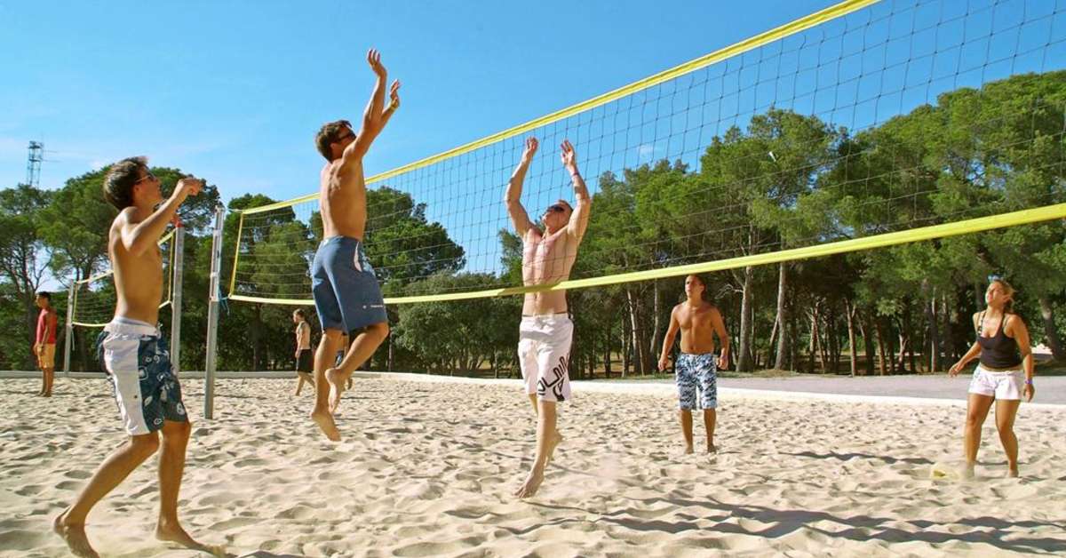 Een foto van Camping La Baume - La Palmeraie