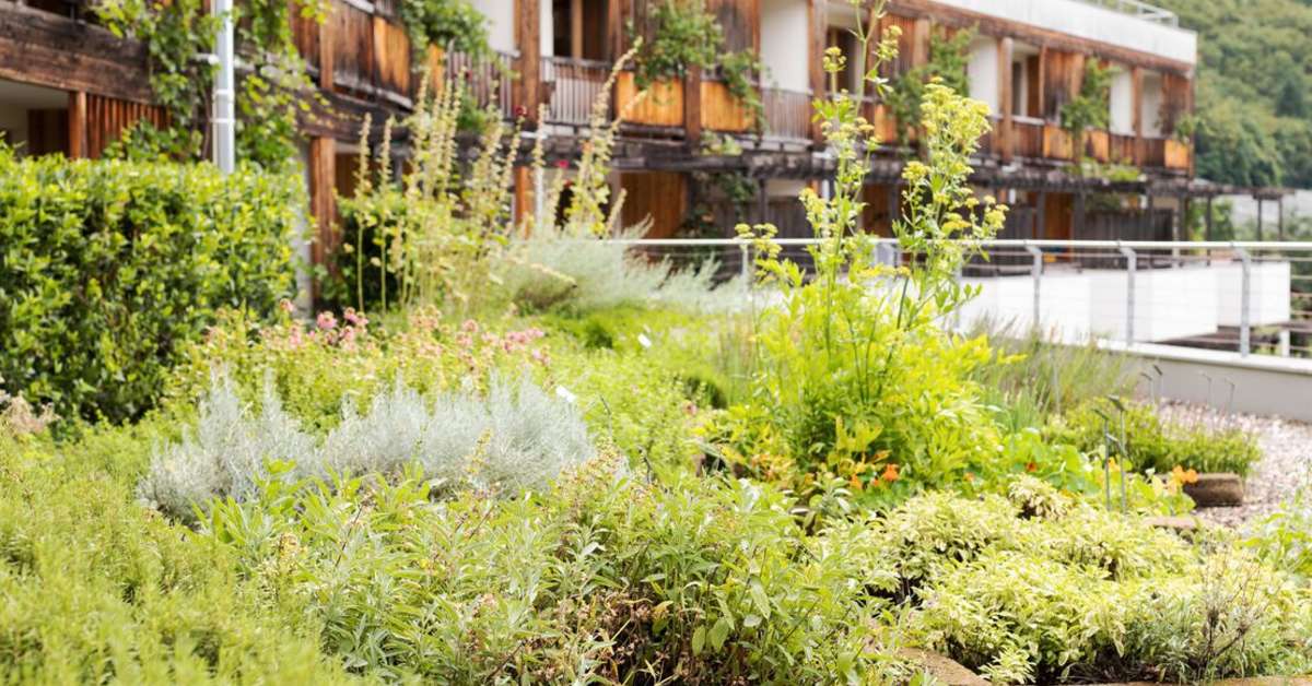 Een foto van Theiner's Garten Bio Vitalhotel