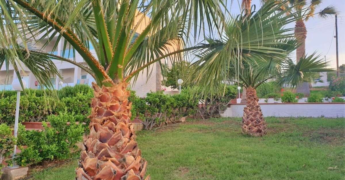 Een foto van Saradari Beach Hotel