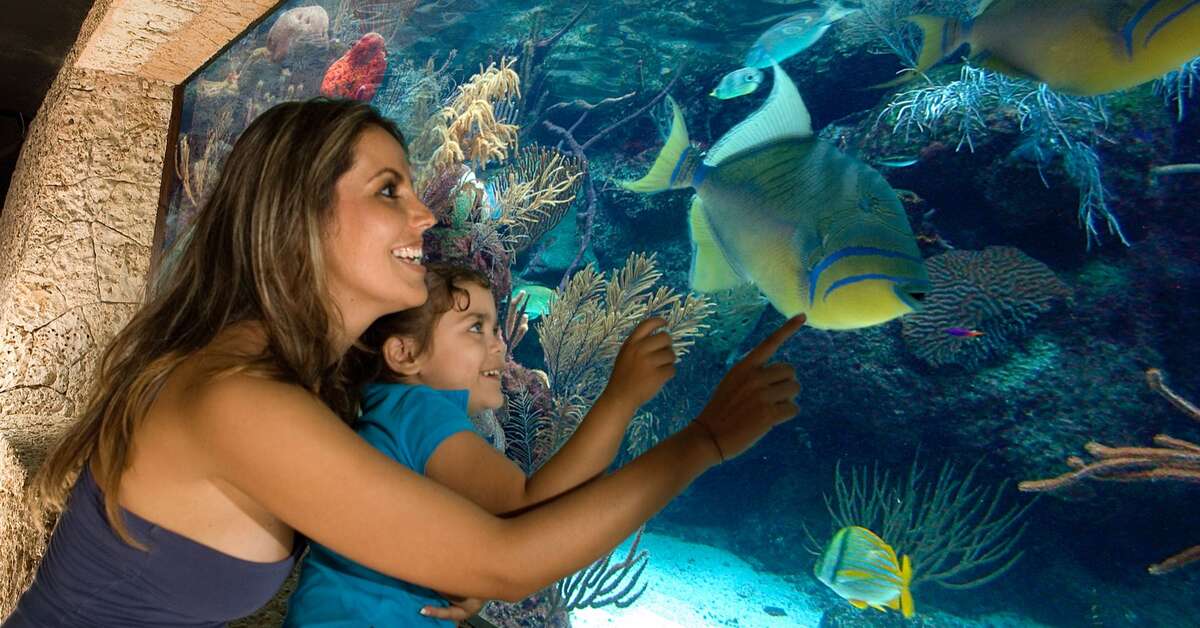 Een foto van Occidental at Xcaret Destination