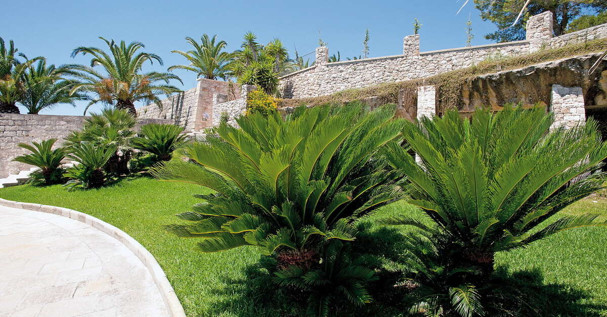 Een foto van Masseria Panareo