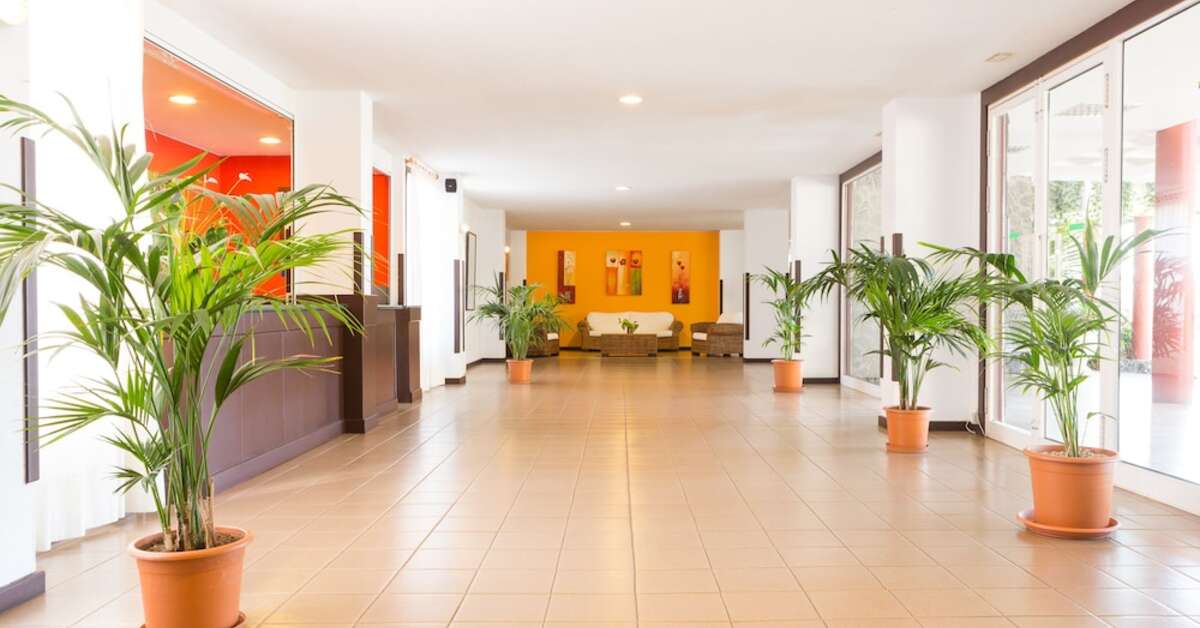 Ein Foto vom Innenbereich im Apartments Centro Cancajos