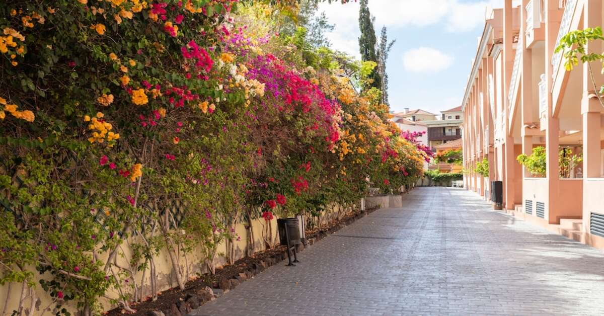 Een foto van de buitenkant van Aparthotel El Duque