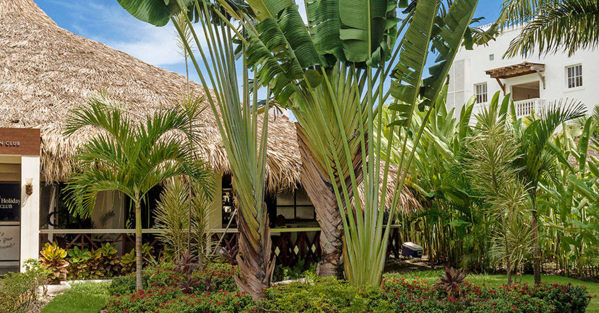 Een foto van het terras bij Hotel Marien Puerto Plata