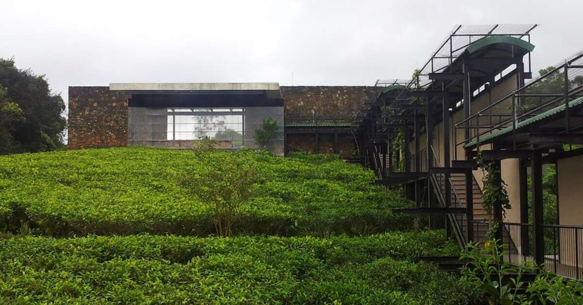 Een foto van Rainforest Eco Lodge