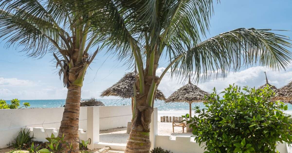 Een foto van Waridi Beach Resort & Spa