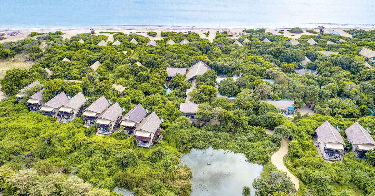 Een foto van Jungle Beach Resort