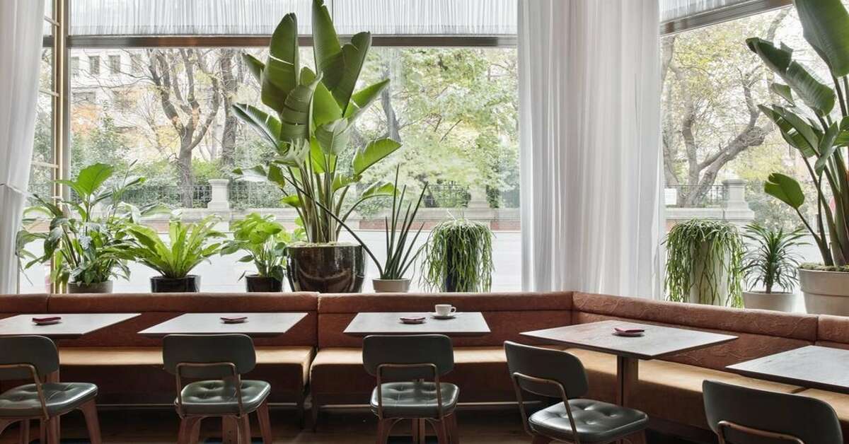 Een foto van de faciliteiten bij NH Collection Madrid Suecia